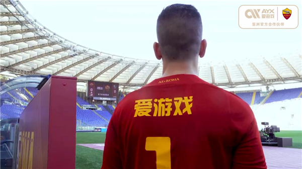 少成功案例